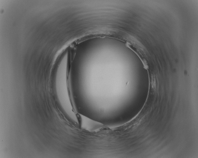 X0000077390388200611101800