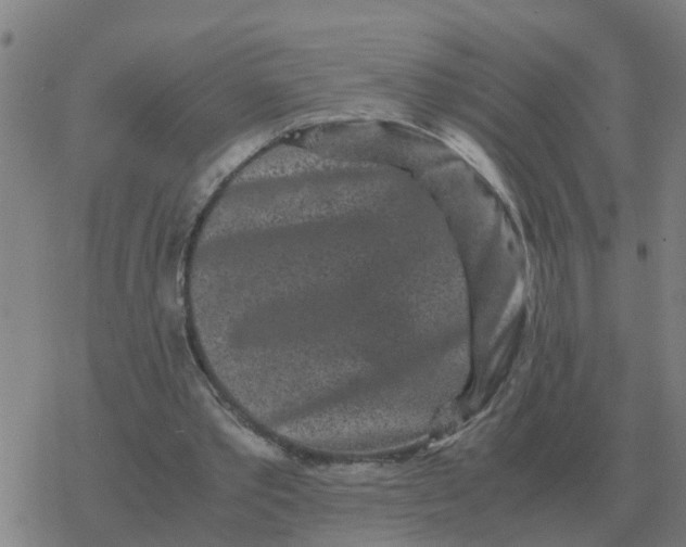 X0000077390389200611101800