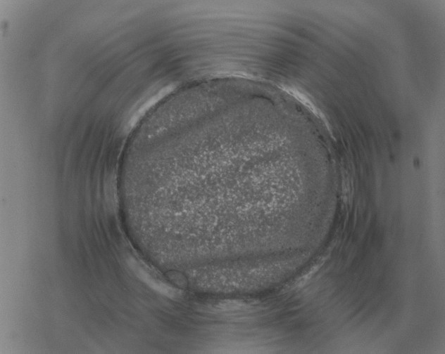 X0000077390390200611101800