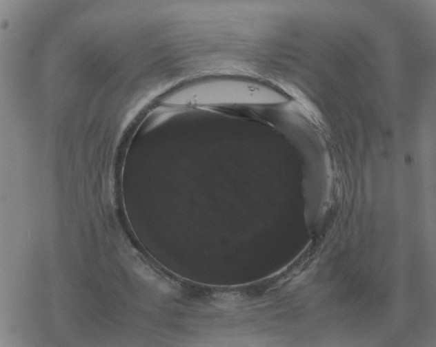 X0000077390391200611101800