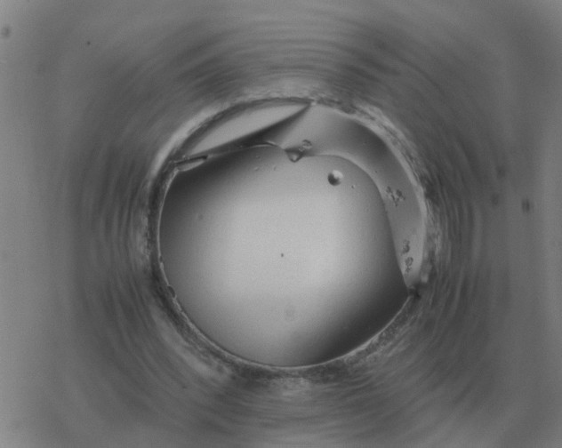 X0000077390392200611101800