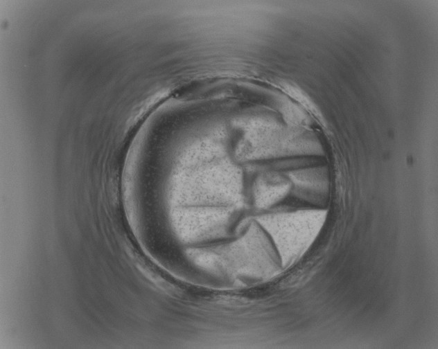 X0000077390393200611101800