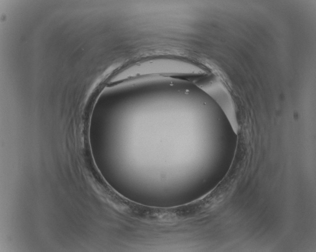 X0000077390395200611101800