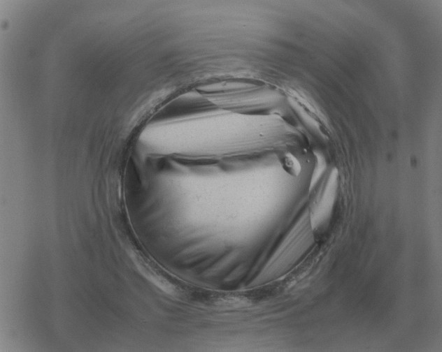 X0000077390397200611101759