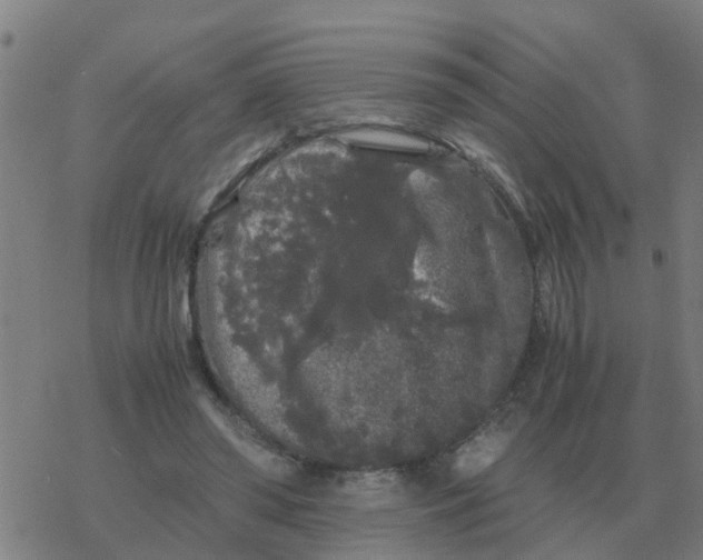 X0000077390398200611101759