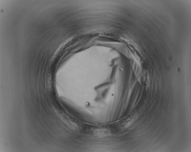 X0000077390400200611101759