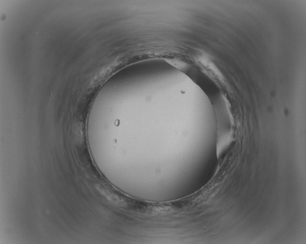 X0000077390401200611101759