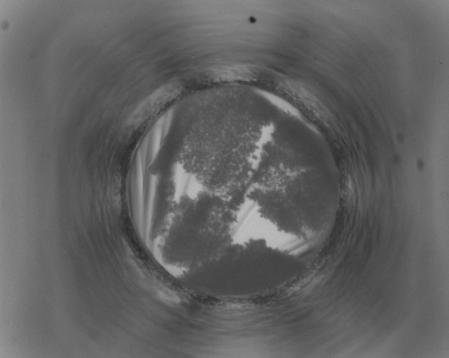 X0000077390402200611101759