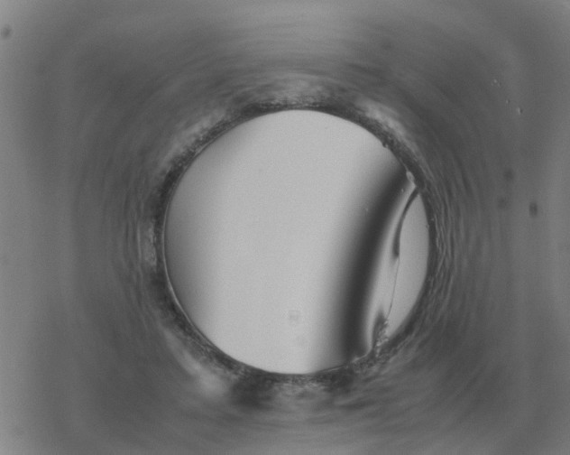 X0000077390403200611101759