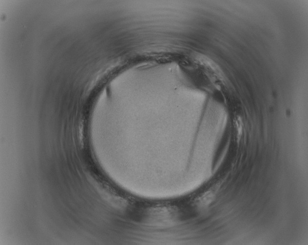 X0000077390404200611101759