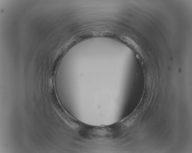 X0000077390405200611101759