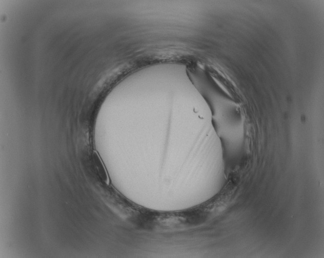 X0000077390407200611101759