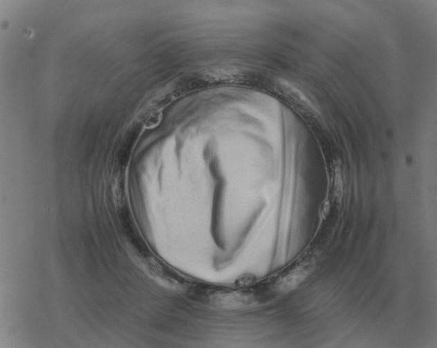 X0000077390408200611101759