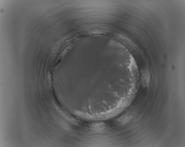 X0000077390410200611101759