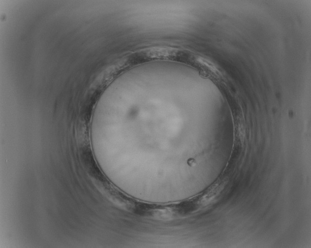 X0000077390411200611101759