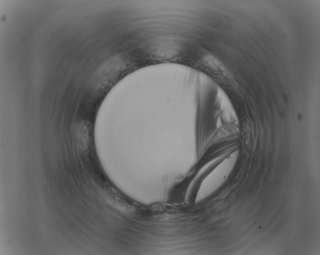 X0000077390412200611101759