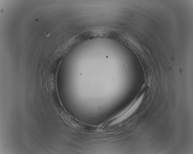 X0000077390413200611101759