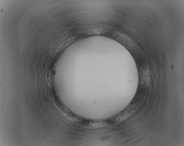 X0000077390414200611101759