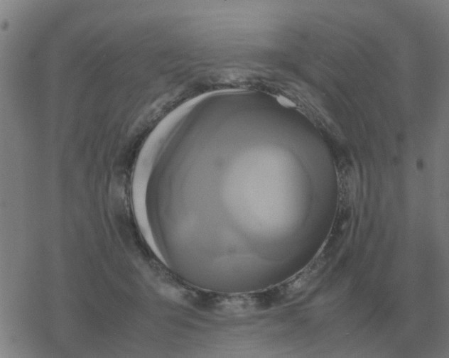 X0000077390415200611101759