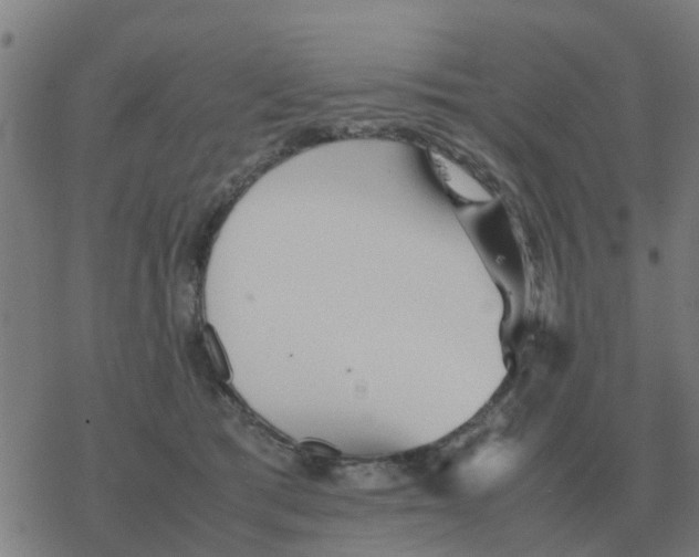 X0000077390417200611101759