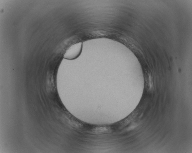 X0000077390418200611101759