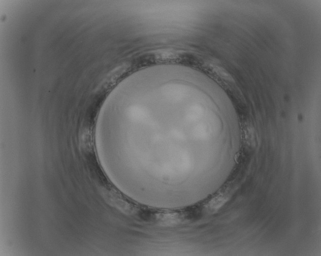 X0000077390419200611101759