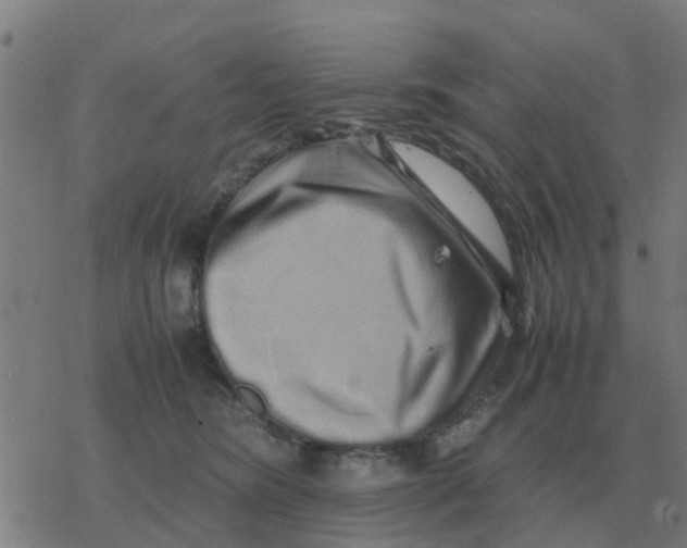 X0000077390420200611101759