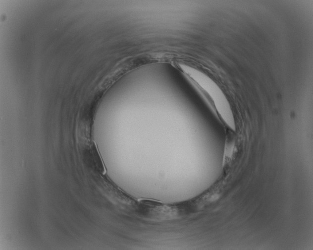 X0000077390421200611101759