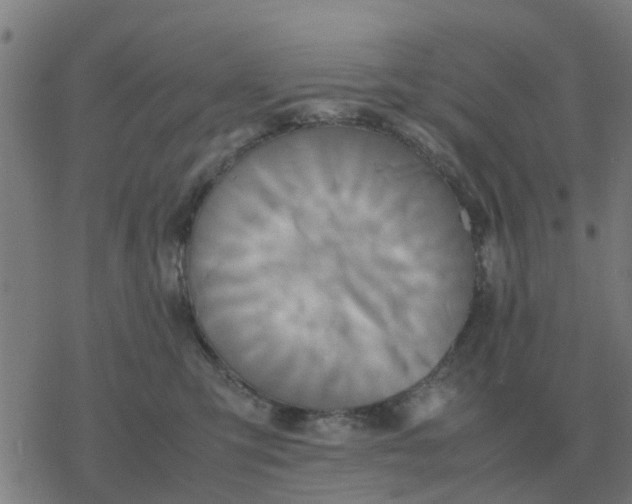 X0000077390423200611101759