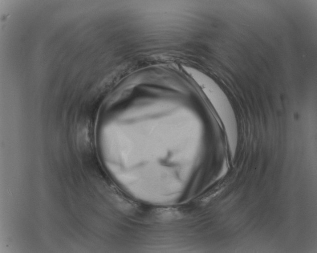 X0000077390424200611101759