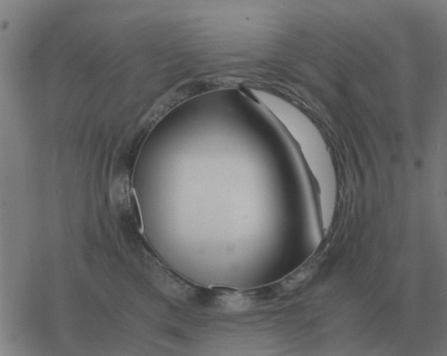 X0000077390425200611101759