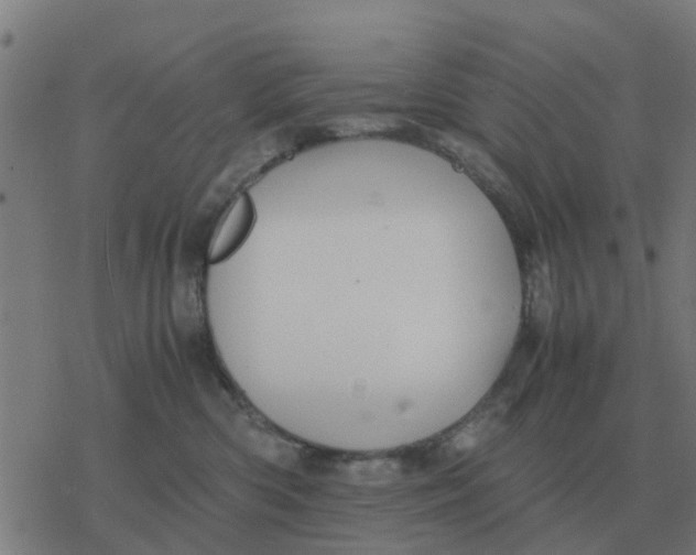 X0000077390426200611101759