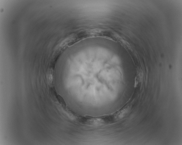 X0000077390427200611101759