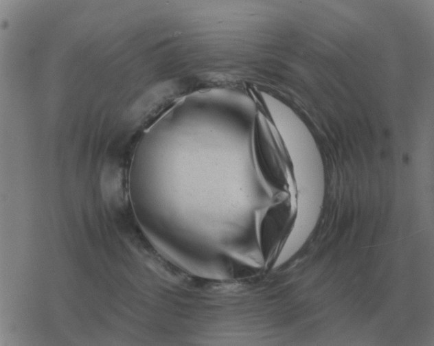 X0000077390428200611101759