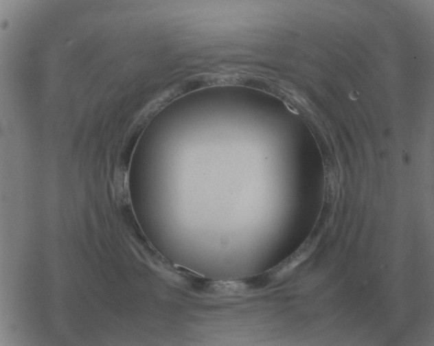 X0000077390429200611101759