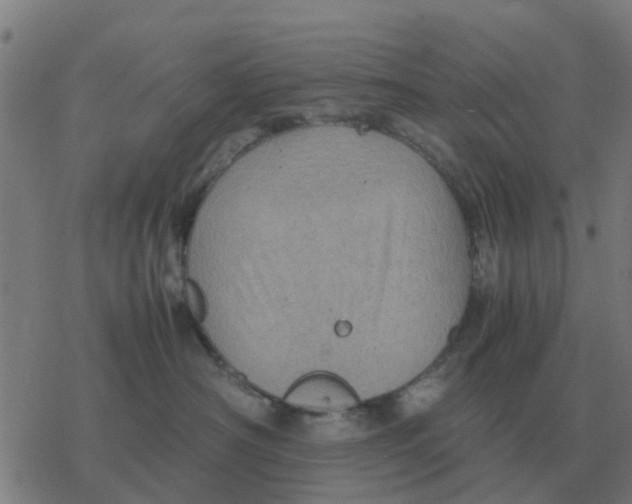 X0000077390430200611101759