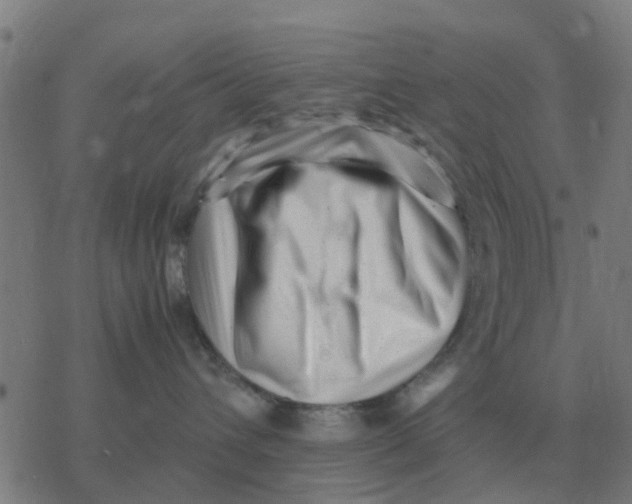 X0000077390432200611101759