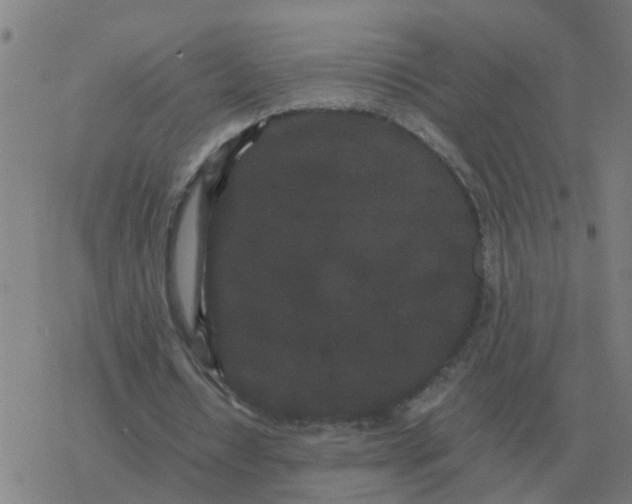 X0000077390434200611101758