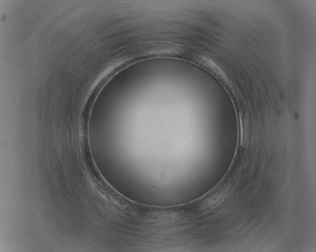 X0000077390435200611101758