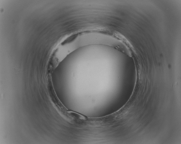 X0000077390436200611101758