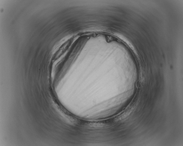 X0000077390437200611101758