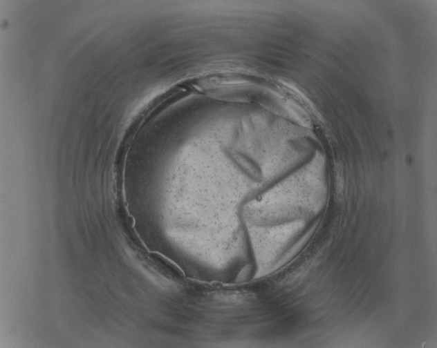 X0000077390439200611101758