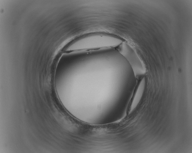 X0000077390440200611101758