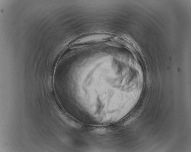 X0000077390441200611101758