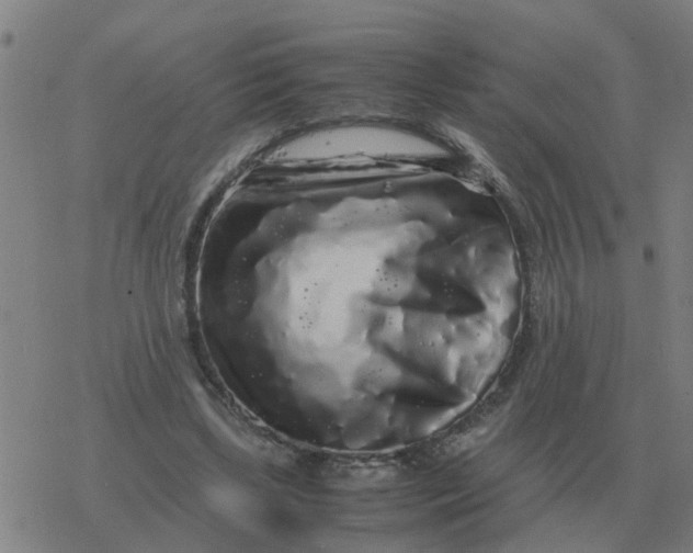 X0000077390443200611101758