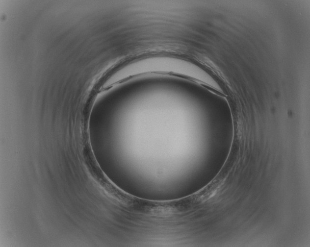 X0000077390444200611101758