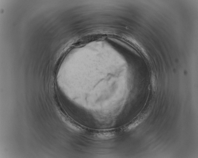 X0000077390445200611101758