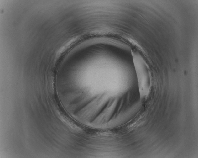 X0000077390446200611101758