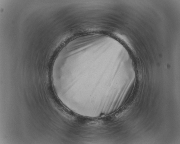 X0000077390447200611101758