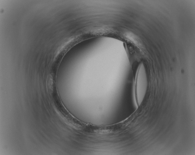 X0000077390448200611101758